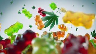 Best CBD Gummies For Pain Relief (True REVIEW!)