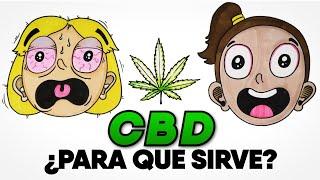 ¿Qué es el CBD y por qué TODOS hablan de él? ¿Para qué sirve?