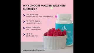 Why Choose MaxCBD Wellness CBD Gummies?