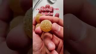 CBD gummies review 