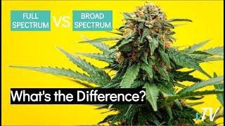 Broad Spectrum CBD vs Full Spectrum CBD [43eeefee7]