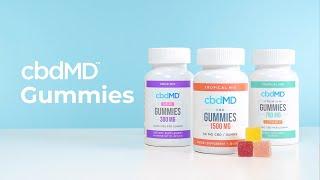 CBD Gummies from cbdMD [52fbb9560]