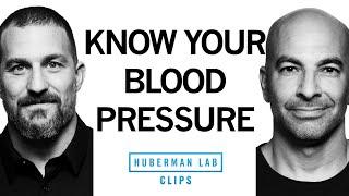 Why Knowing Your Blood Pressure Is Critical to Longevity | Dr. Peter Attia & Dr. Andrew Huberman [7f4824c0f]