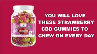 Educating You On Supreme CBD 4800mg Broad Spectrum CBD Super Strength Gummies