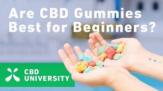 CBD University: Are CBD Gummies Best For Beginners?