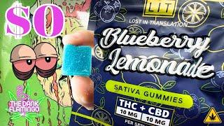 Trying FREE Blueberry Lemonade THC + CBD Gummies from Lit Farms! Cannabis Review!