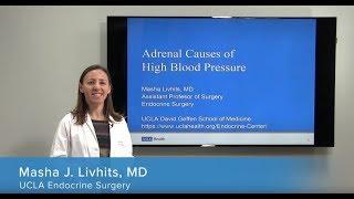 Adrenal Causes of High Blood Pressure | Masha Livhits, MD | UCLAMDChat [e8178c1fe]